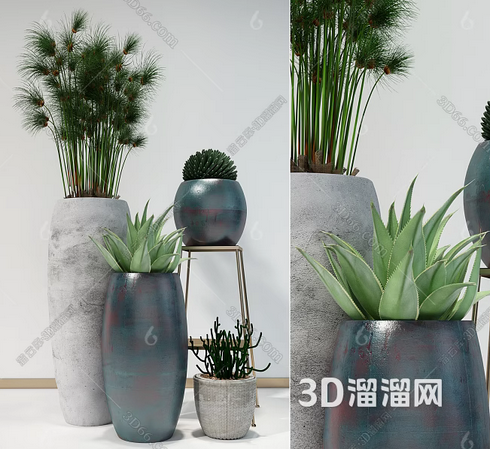 客厅风水中适合摆放什么植物? 客厅风水中适合摆放什么植物?