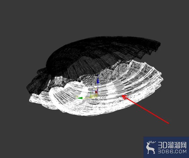 3Dmax如何制作珍珠贝? 3Dmax如何制作珍珠贝?