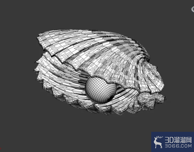 3Dmax如何制作珍珠贝? 3Dmax如何制作珍珠贝?