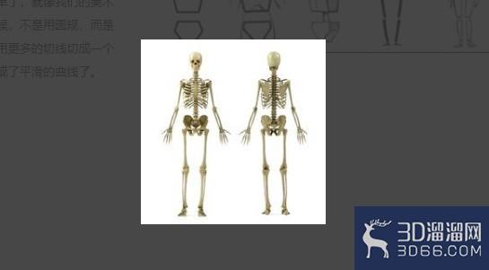 3dmax怎么做人物建模? 3dmax怎么做人物建模?