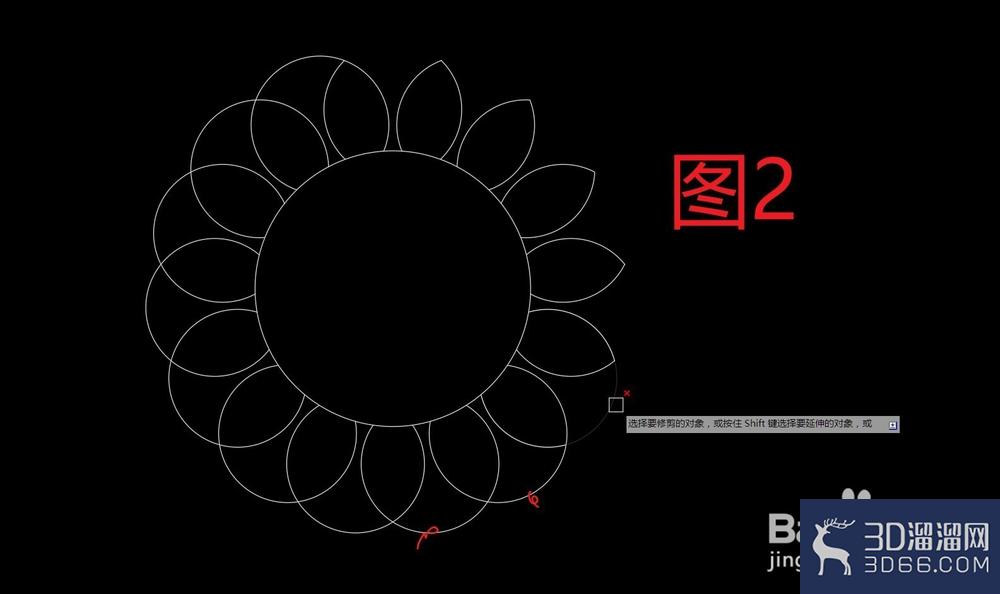 CAD怎么画向阳葵? CAD怎么画向阳葵?