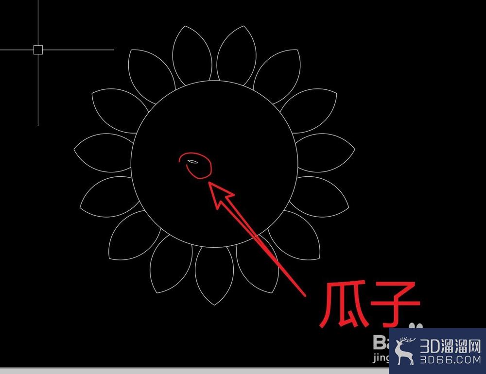 CAD怎么画向阳葵? CAD怎么画向阳葵?