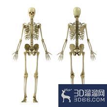 如何用3DMAX练好人物建模？