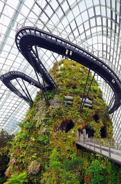 药用植物在园林景观中的应用 药用植物在园林景观中的应用