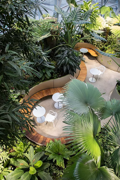 浅谈园林植物在园林景观中的功能