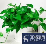 如何有效防止甲醛装修污染? 如何有效防止甲醛装修污染?