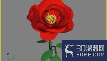 3dmax制作花朵教程 3dmax制作花朵教程