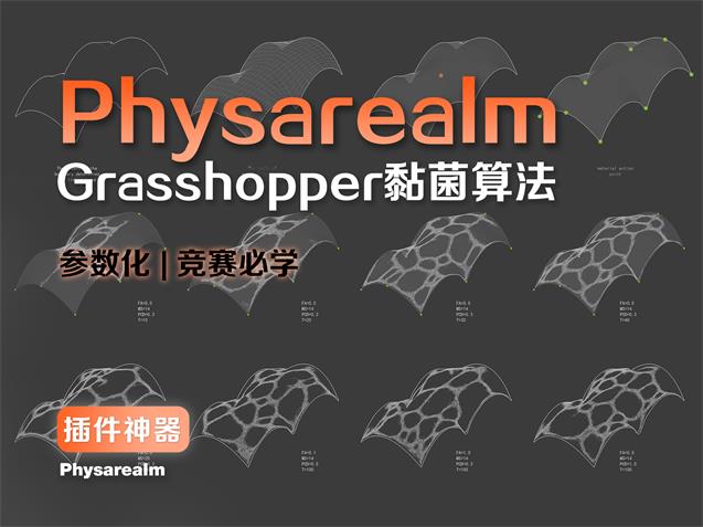 竞赛必学-参数化黏菌算法Physarealm